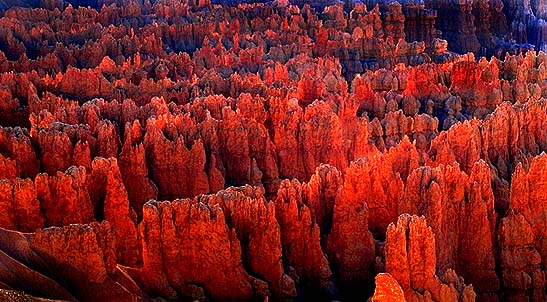 Bryce Canyon National Park, Utah, United States of America
: Sunrise; Geological Formations.