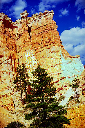 Bryce Canyon National Park, Utah, United States of America
; Geological Formations.