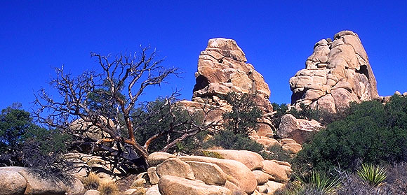 Joshua Tree National Monument, California, United States of America
: Geological Formations; Landscapes.