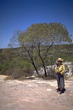 The Gregory Highway, Queensland, Australia
: Landscapes; Katrin.