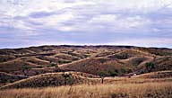 Picture of The Mereenie Loop, Northern Territory, Australia