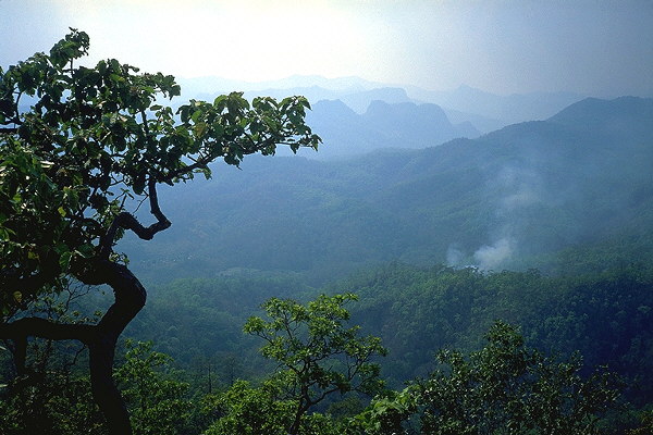 Mae Hong Son Loop, Thailand
: Landscapes; The Natural Order.