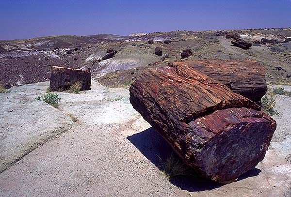 Petrified Forest National Monument, Arizona, United States of America
: Geological Formations.