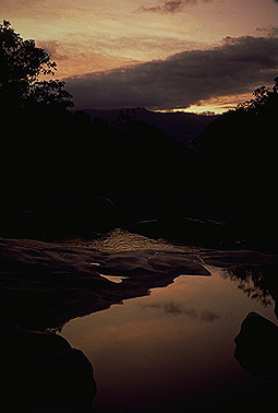 Dead Horse Creek<br>Cardwell, Queensland, Australia: Dead Horse Creek, Queensland, Australia
: The Natural Order; Sunsets.