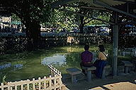 Lovers at canal side :: Bangkok, Thailand