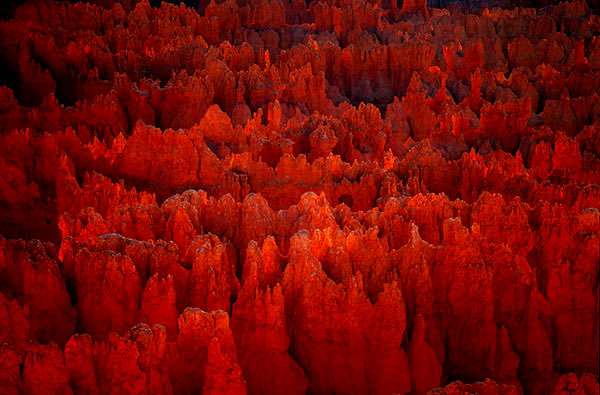 Sunrise at Sunset Point<br>Bryce Canyon National Park<br>Utah, USA: Bryce Canyon National Park, Utah, United States of America
: Sunrise; Geological Formations.