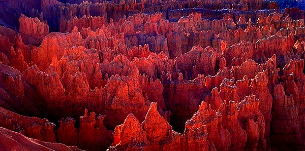 Sunrise at Sunset Point<br>Bryce Canyon National Park<br>Utah, USA: Bryce Canyon National Park, Utah, United States of America
: Sunrise; Geological Formations.
