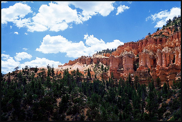 Under-the-rim-trail<br>Near the Hat Shop<br>Bryce Canyon National Park<br>Utah, USA: Bryce Canyon National Park, Utah, United States of America
: Landscapes; Geological Formations.