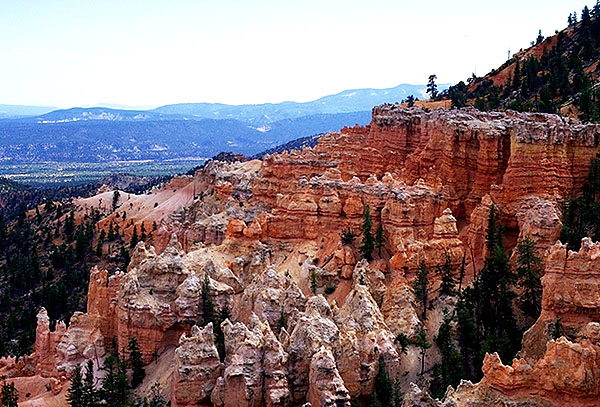 Under-the-rim-trail<br>Near the Hat Shop<br>Bryce Canyon National Park<br>Utah, USA: Bryce Canyon National Park, Utah, United States of America
: Landscapes; Geological Formations.