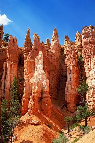 Hoodoos<br>Bryce Canyon National Park<br>Utah, USA: Bryce Canyon National Park, Utah, United States of America
: Landscapes; Geological Formations.