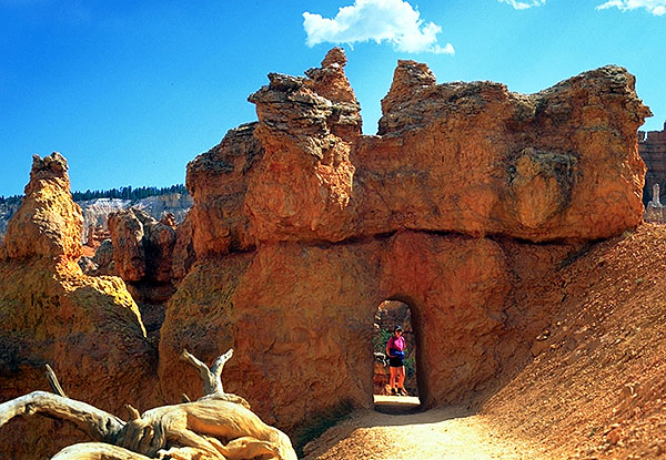 Katrin arching through the<br>Queen's Garden Trail<br>Bryce Canyon National Park<br>Utah, USA: Bryce Canyon National Park, Utah, United States of America
: Geological Formations; Katrin.