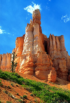 Hoodoos<br>Bryce Canyon National Park<br>Utah, USA: Bryce Canyon National Park, Utah, United States of America
; Geological Formations.