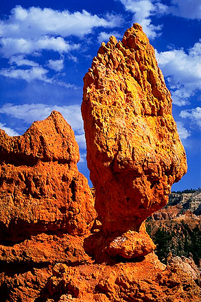 Hoodoos<br>Bryce Canyon National Park<br>Utah, USA: Bryce Canyon National Park, Utah, United States of America
: Abstractions; Geological Formations.