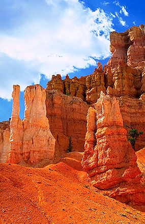A Walk Under-the-Rim<br>With the Hoodoos<br>Bryce Canyon National Park<br>Utah, USA: Bryce Canyon National Park, Utah, United States of America
; Geological Formations.