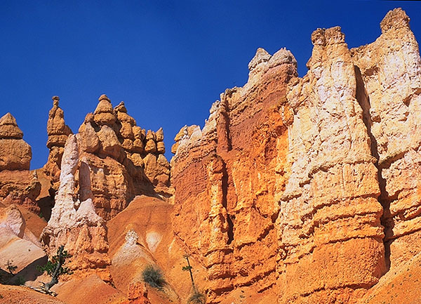 A Walk Under-the-Rim<br>With the Hoodoos<br>Bryce Canyon National Park<br>Utah, USA: Bryce Canyon National Park, Utah, United States of America
; Geological Formations.