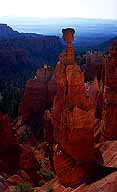 Thor's Hammer :: Sunset Point :: Bryce Canyon National Park :: Utah, USA
