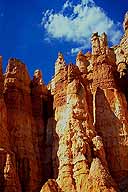 Hoodoos :: Bryce Canyon National Park :: Utah, USA