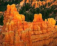Sunset at Sunrise Point :: A Telephoto Essay :: Bryce Canyon National Park :: Utah, USA