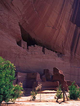 Anasazi Cliff Dwelling<br>Canyon De Chelly Navajo Park<br>Arizona, USA: Canyon De Shelly, Arizona, United States of America
: Ruins and Restorations; Canyons.