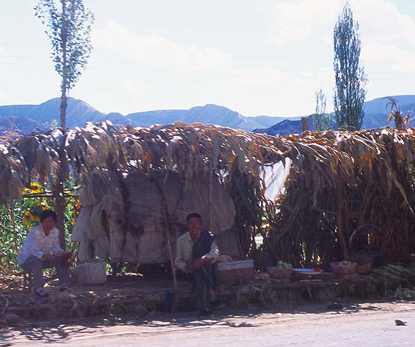 Roadside market on a hot day sometime after lunch: Linxia to Lanzhou, Gansu, People's Republic of China
: Food Stalls and Markets; People You Meet.