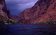 Floating down the Colorado :: Glen Canyon :: Arizona, USA