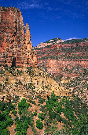 Views from the Bright Angel Trail<br>Grand Canyon, North Rim<br>Arizona, USA: Grand Canyon National Park, Arizona, United States of America
: Landscapes; Canyons.