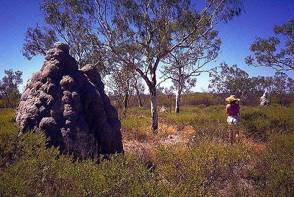 Termite Mound<br>with Katrin for perspective<br>Gregory Highway<br>Queensland, Australia: The Gregory Highway, Queensland, Australia
: The Natural Order; Katrin.