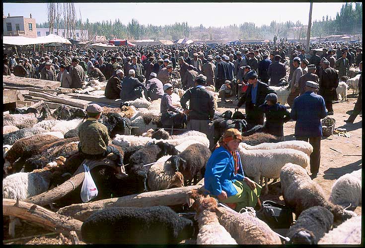 The Livestock Market<br><br>Kashgar :: Xinjiang, China: Kashgar, Xinjiang, People's Republic of China
: Food Stalls and Markets; Crowds.