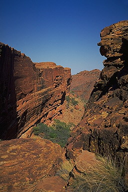Watarrka (Kings Canyon)<br>Northern Territory, Australia: Watarrka (Kings Canyon), Northern Territory, Australia
: The Natural Order; Landscapes.