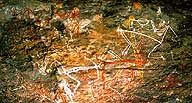Aboriginal Rock Paintings :: Kakadu National Park :: Northern Territory, Australia