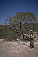 Katrin overlooking The Great Dividing Range :: Queensland, Australia