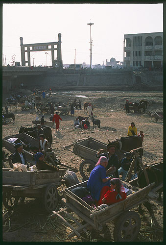 The Thursday Market<br>Kuqa :: Xinjiang, China: Kuqa, Xinjiang, People's Republic of China
: People You Meet; Beasts of Burden.