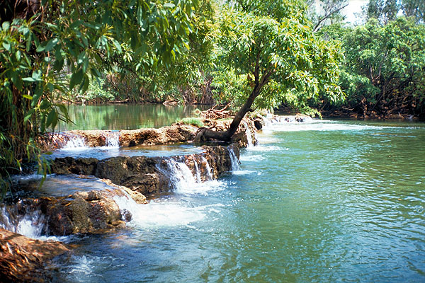 Mataranka Falls<br>Near Katherine<br>Northern Territory, Australia: Northern Territory, Australia
: The Natural Order; Rivers.