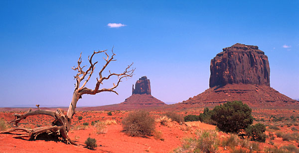 Monument Valley Navajo Park<br>Utah, USA: Monument Valley Navajo Park, Utah, United States of America
: Geological Formations; Landscapes.