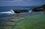 Oceanside Hot Spring :: The Great Ocean Road :: near Portland :: Victoria, Australia
