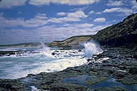 Surf vs. Igneous Rock :: The Great Ocean Road :: near Portland :: Victoria, Australia