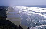 Oregon Coastal Dunes :: Oregon, USA
