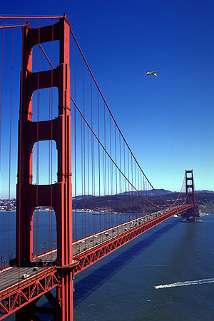 The Golden Gate Bridge<br>With Seagull and Boat<br>San Francisco, California: San Francisco, California, United States of America
: Engineering Feats; Shorelines.
