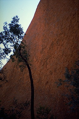 Uluru (Ayers Rock)<br>Northern Territory, Australia: Uluru (Ayer's Rock), Northern Territory, Australia
: The Natural Order; Abstractions.