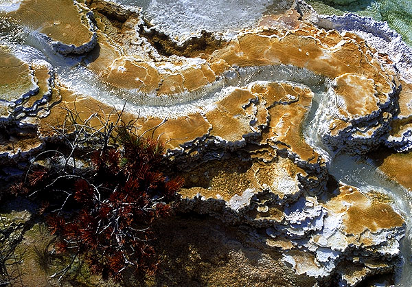 Rock Under Construction<br>Mammoth Hot Springs<br>Yellowstone National Park<br>Wyoming, USA: Yellowstone National Park, Wyoming, United States of America
: Geological Formations; Abstractions.