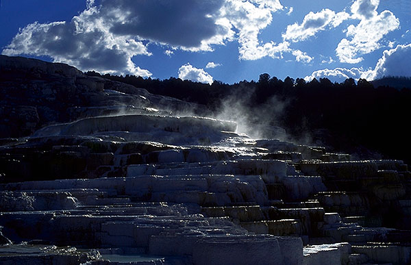 Rock Under Construction<br>Mammoth Hot Springs<br>Yellowstone National Park<br>Wyoming, USA: Yellowstone National Park, Wyoming, United States of America
: Geological Formations.