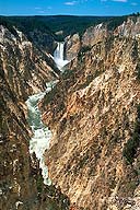 The Grand Canyon of the Yellowstone :: Yellowstone National Park :: Wyoming, USA