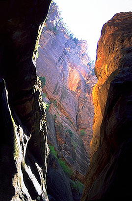 The Narrows<br>Zion National Park<br>Utah, USA: Zion National Park, Utah, United States of America
; Canyons.