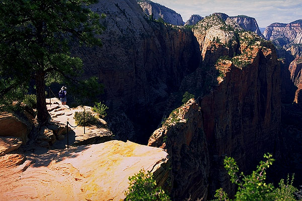 Beginning the Descent<br>Angel's Landing Trail<br>Zion National Park<br>Utah, USA: Zion National Park, Utah, United States of America
: Geological Formations.