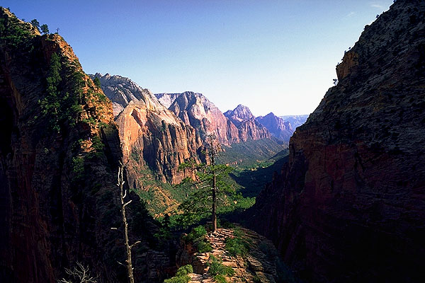 Southerly View down Zion Canyon<br>Angel's Landing Trail<br>Zion National Park<br>Utah, USA: Zion National Park, Utah, United States of America
: Geological Formations; Landscapes.