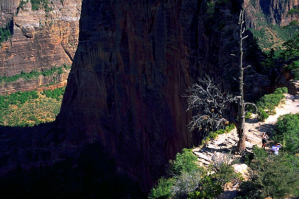 Just to give an idea of the elevation...<br>Angel's Landing Trail<br>Zion National Park<br>Utah, USA: Zion National Park, Utah, United States of America
: Geological Formations; Landscapes.