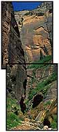 The Narrows :: Zion National Park :: Utah, USA