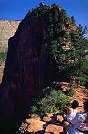 Appreciating Angel's Landing :: Angel's Landing Trail :: Zion National Park :: Utah, USA