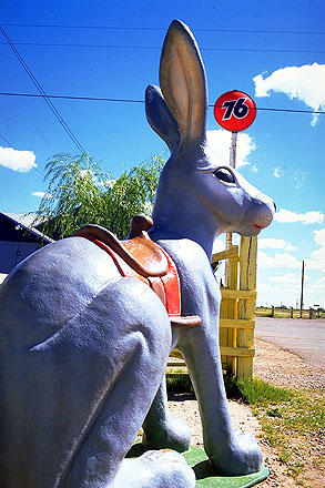 The Jackrabbit<br>Joseph City, Arizona: Arizona Route 66, Arizona, United States of America
: Landmarks; Kitsch.