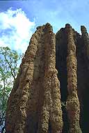 A picture of a Cathedral Termite Mound; Stuart Highway near Darwin; Northern Territory, Australia
